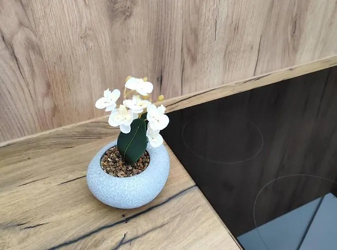 Nada Apartmán Drage